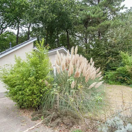 In North Holland
