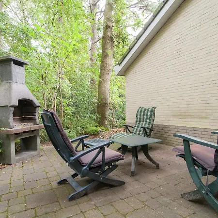 Elite In North Holland Near Forest *