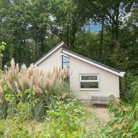 In North Holland * Schoorl