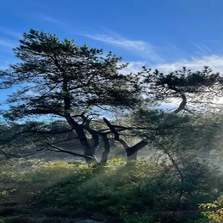 In North Holland * Schoorl