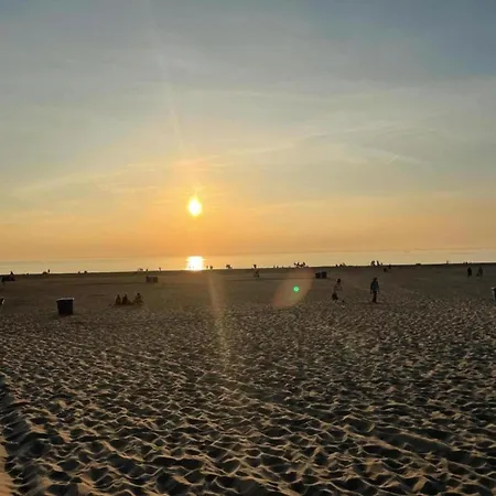 Semesterbostad Elite In North Holland Near Forest *