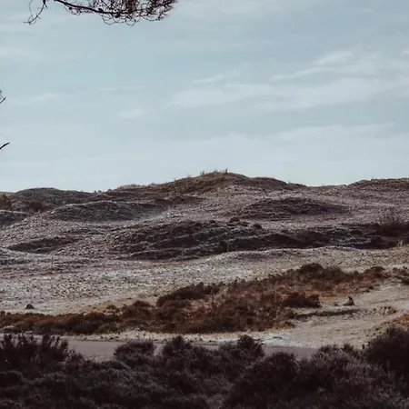 In North Holland Semesterbostad