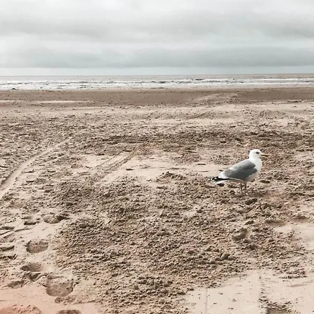 In North Holland Semesterbostad Schoorl