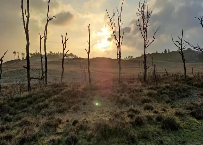 Дом отдыха In North Holland Схорл