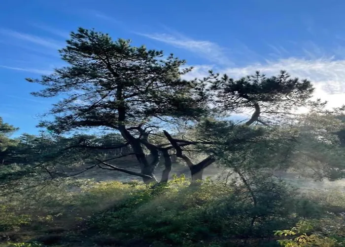 In North Holland * Схорл