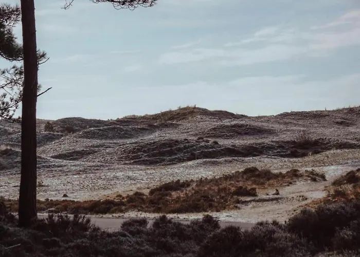 In North Holland Дом отдыха