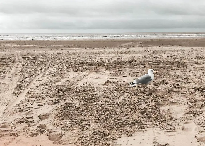 In North Holland Дом отдыха Схорл